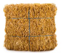 Wheat Straw Pakistan قش القمح باكستان